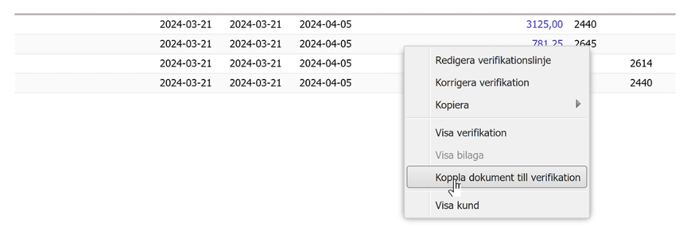 Skärmbild 2025-02-25 163240